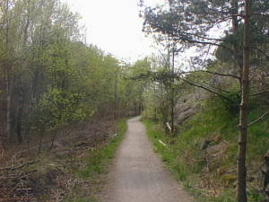 Spring path