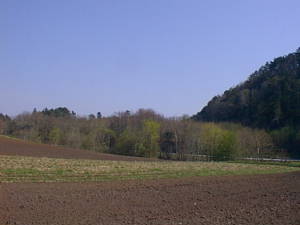 Landscape