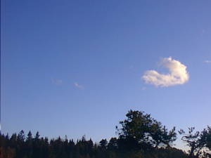 Cloud