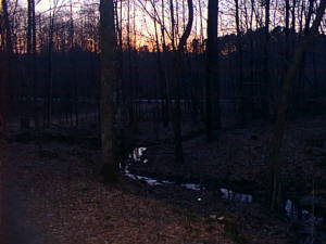 Evening landscape