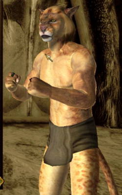 Khajiit