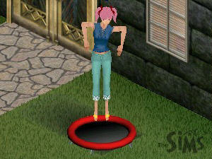 Screenshot The Sims