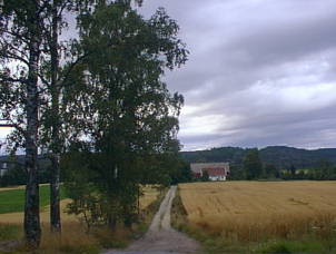 Country road