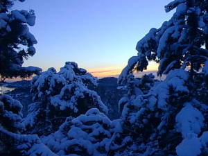 Snowy landscape