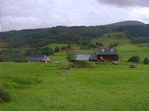 Farm