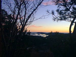 Landscape