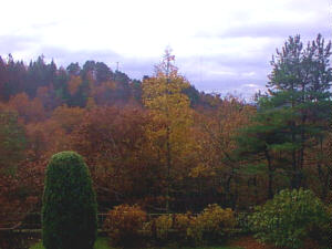 Autumn colors