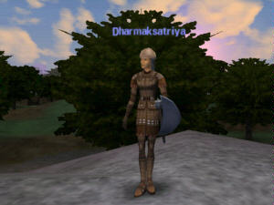 Screenshot DAoC