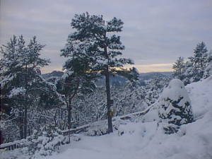 Snowscape