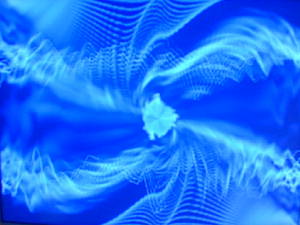 MS Media Player screen picture