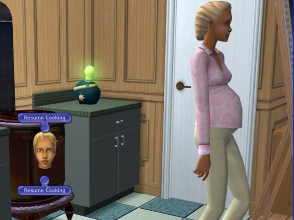 Screenshot Sims 2