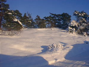 Sunny snow