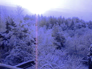 Snowscape