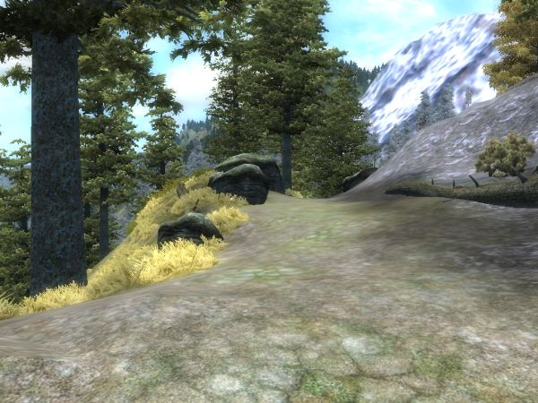 Near winter