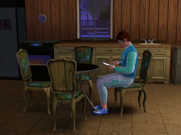 Screenshot Sims 3
