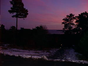 Winter sky