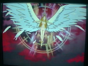 Picture from Happy World anime