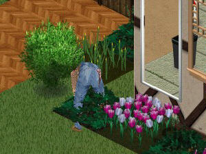 Screenshot The Sims