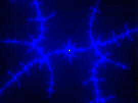 Fractal