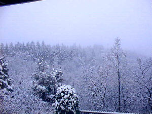 Snowy landscape