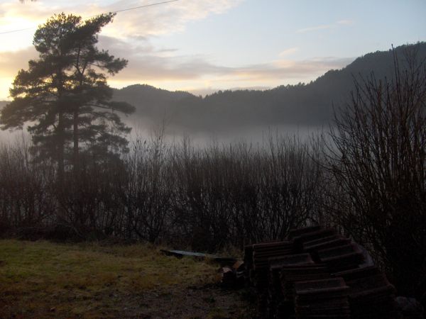 River fog