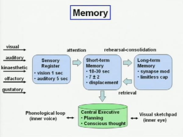 Memory: Slideshow from a YouTube Video from Stanford University.