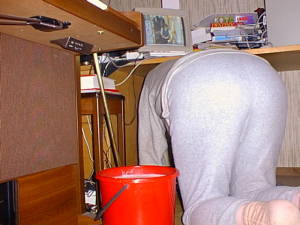 Graybutt