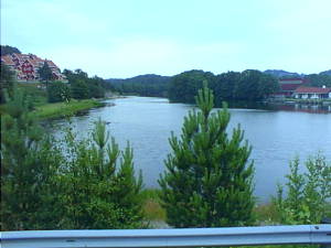 Small trees and still river