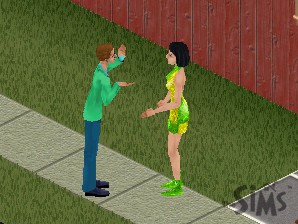Screenshot, The Sims