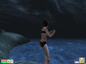 Screenshot Morrowind