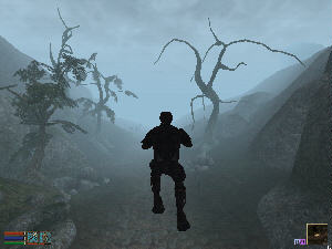 Screenshot Morrowind