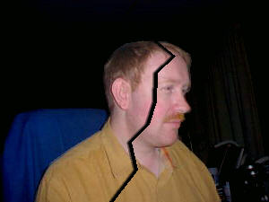 Divided portrait