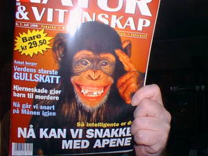 Magazine