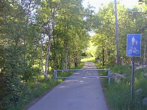 Path into brightness