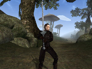 Screenshot Morrowind