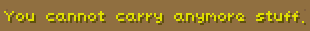 You cannot carry any more stuff
