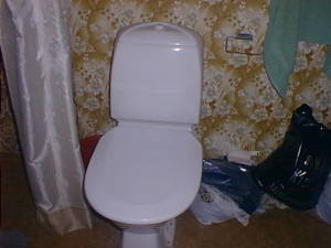 Toilet