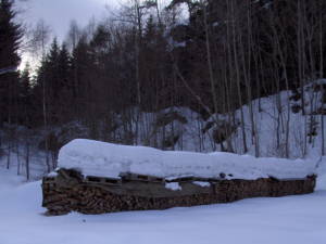 Winter landscape