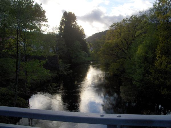 Reflections in a river