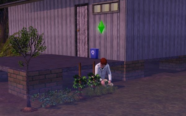 Screenshot Sims 3 (gardening)