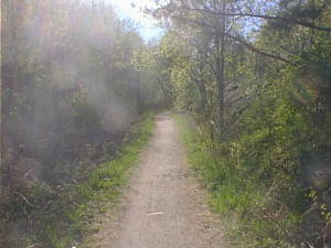 May road