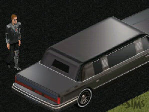 Screenshot The Sims