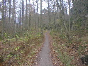 Autumn path