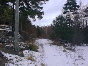 Winter road