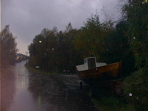 Rainy autumn day