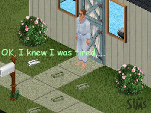 Screenshot The Sims