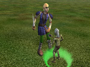 Screenshot RoE