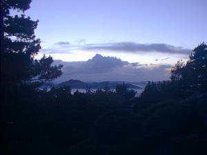 Late evening with fog