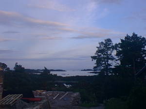 Evening landscape