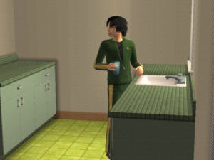 Screenshot Sims2